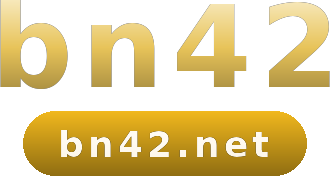 bn42 logo